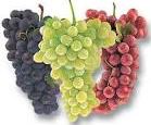 Grapes